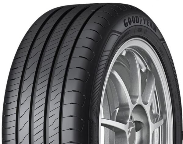 Padangos Goodyear Efficientgrip Performance 2 195/55/R16