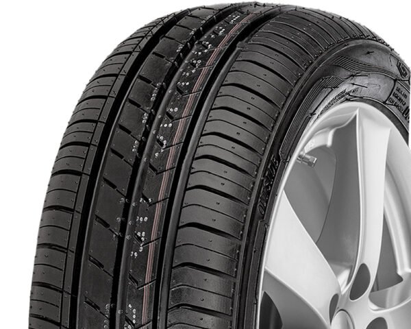 Padangos Fortuna EcoPlus HP 205/60/R16