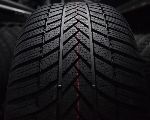 Padangos Bridgestone Blizzak LM-005 (Rim Fringe Protection) 295/35/R21